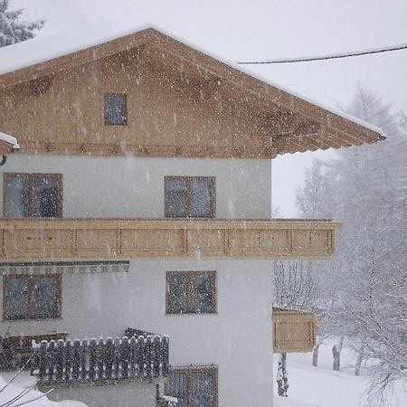 Ferienwohnung Wolf Тринц Екстериор снимка
